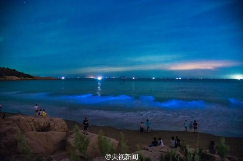 哈哈体育活动官方入口