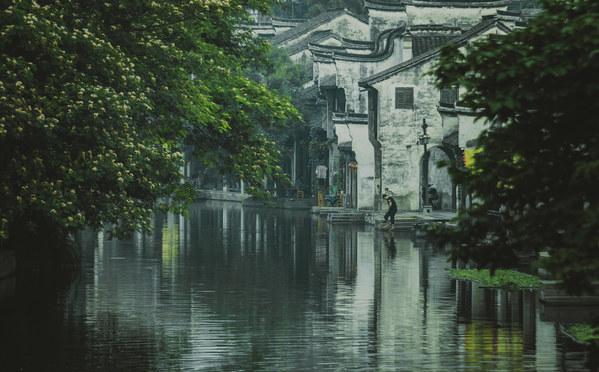 专属知识星球平台-冯巩2个女徒弟,贾玲长得胖大火,另一个呢?,解锁你的学习之门